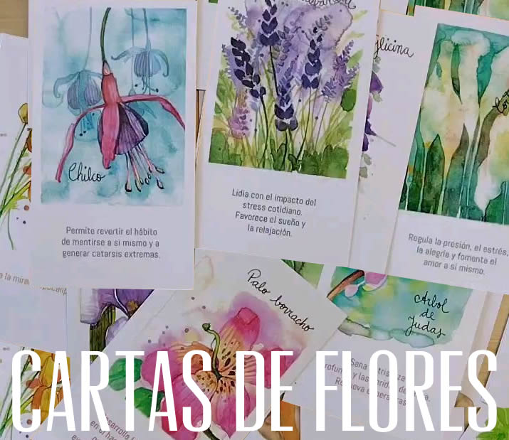cartas de flores